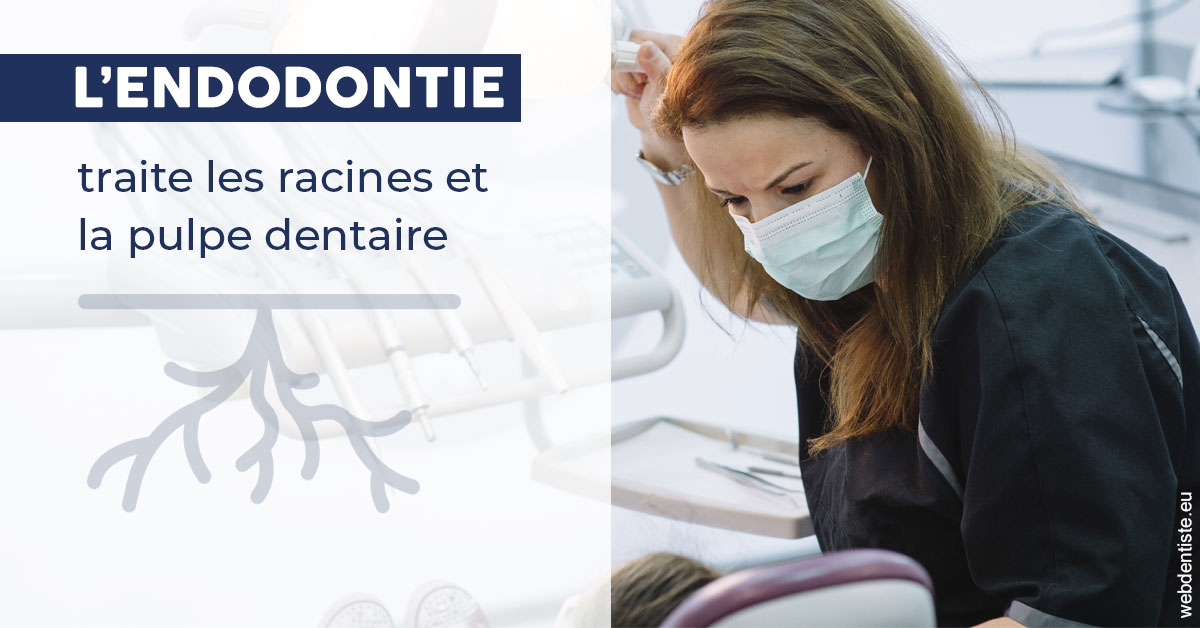 https://dr-stephanie-cohere-martin.chirurgiens-dentistes.fr/L'endodontie 1