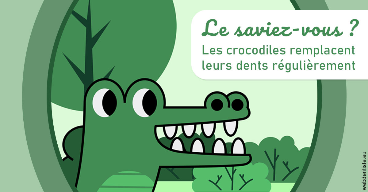 https://dr-stephanie-cohere-martin.chirurgiens-dentistes.fr/Crocodiles 2